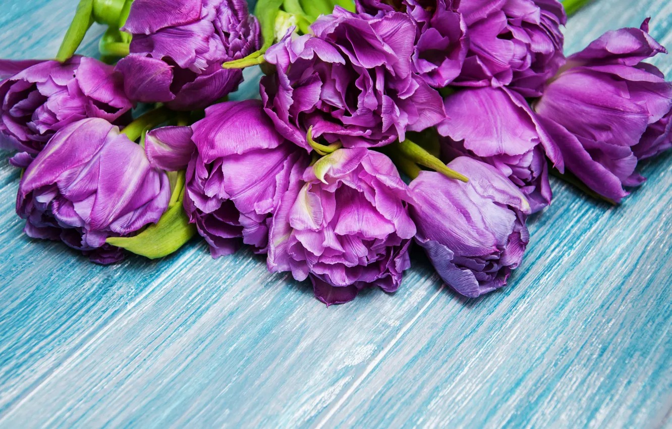 Photo wallpaper tulips, wood, blue, tulips, bouguet
