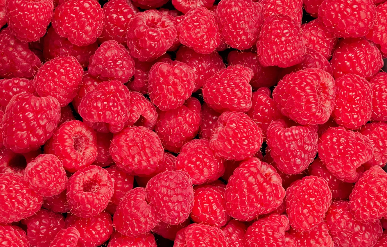 Photo wallpaper fresh, food, fruit, dessert, berries, diet, component, Fresh Fruit