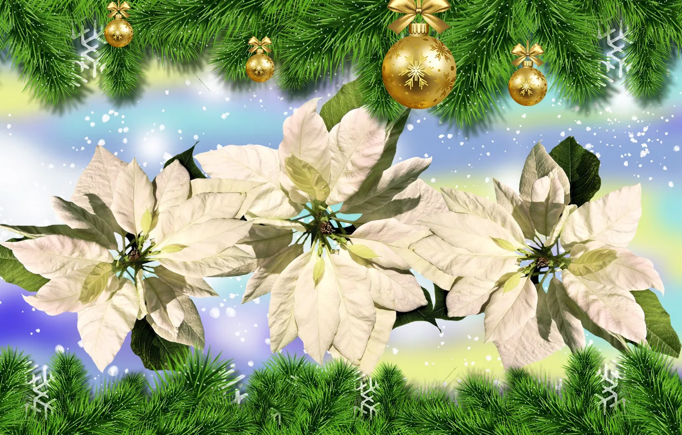 Photo wallpaper Flowers, Bombki, Christmas, Poinsence