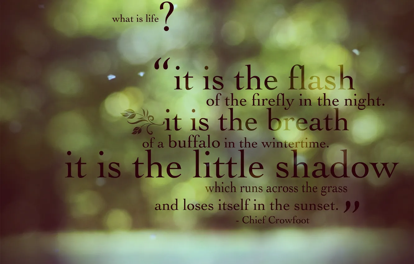 Photo wallpaper life, green, glare, background, Wallpaper, quote