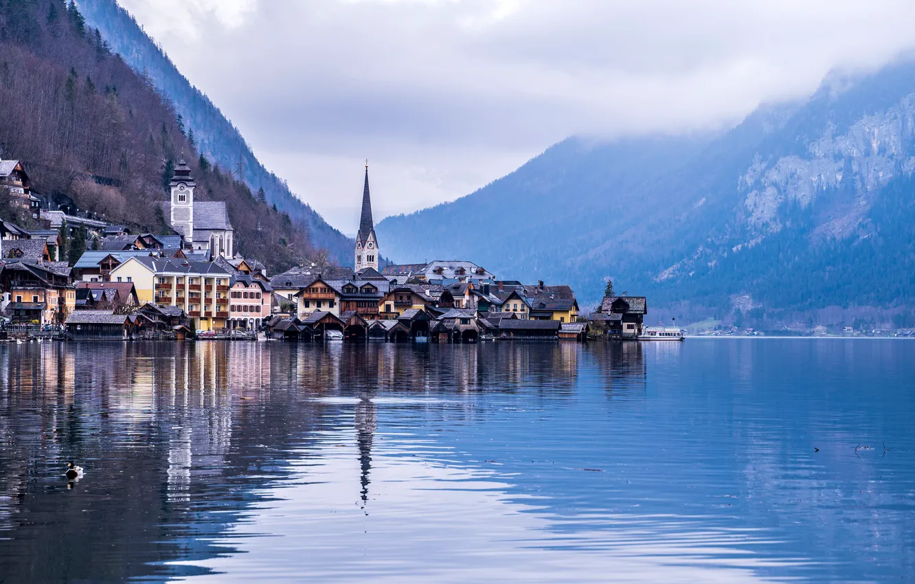 Photo wallpaper forest, clouds, trees, mountains, fog, lake, blue, shore