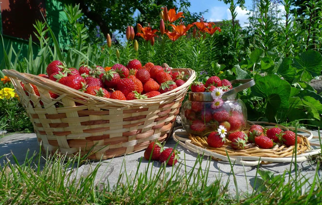 Photo wallpaper berries, summer, basket, strawberry