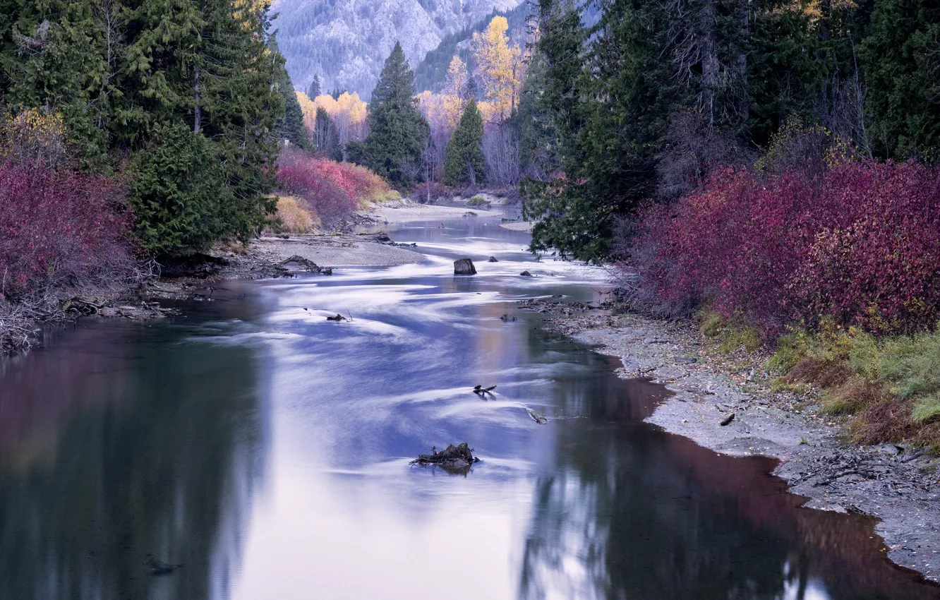 Photo wallpaper autumn, forest, river, shore