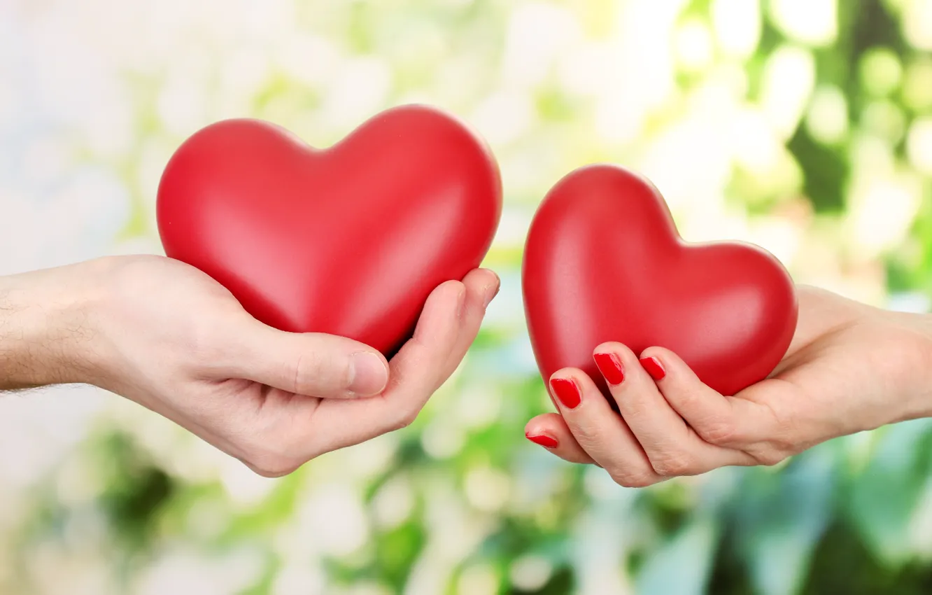 Photo wallpaper love, romance, heart, hands, love, Valentine's day, hearts, valentine's day