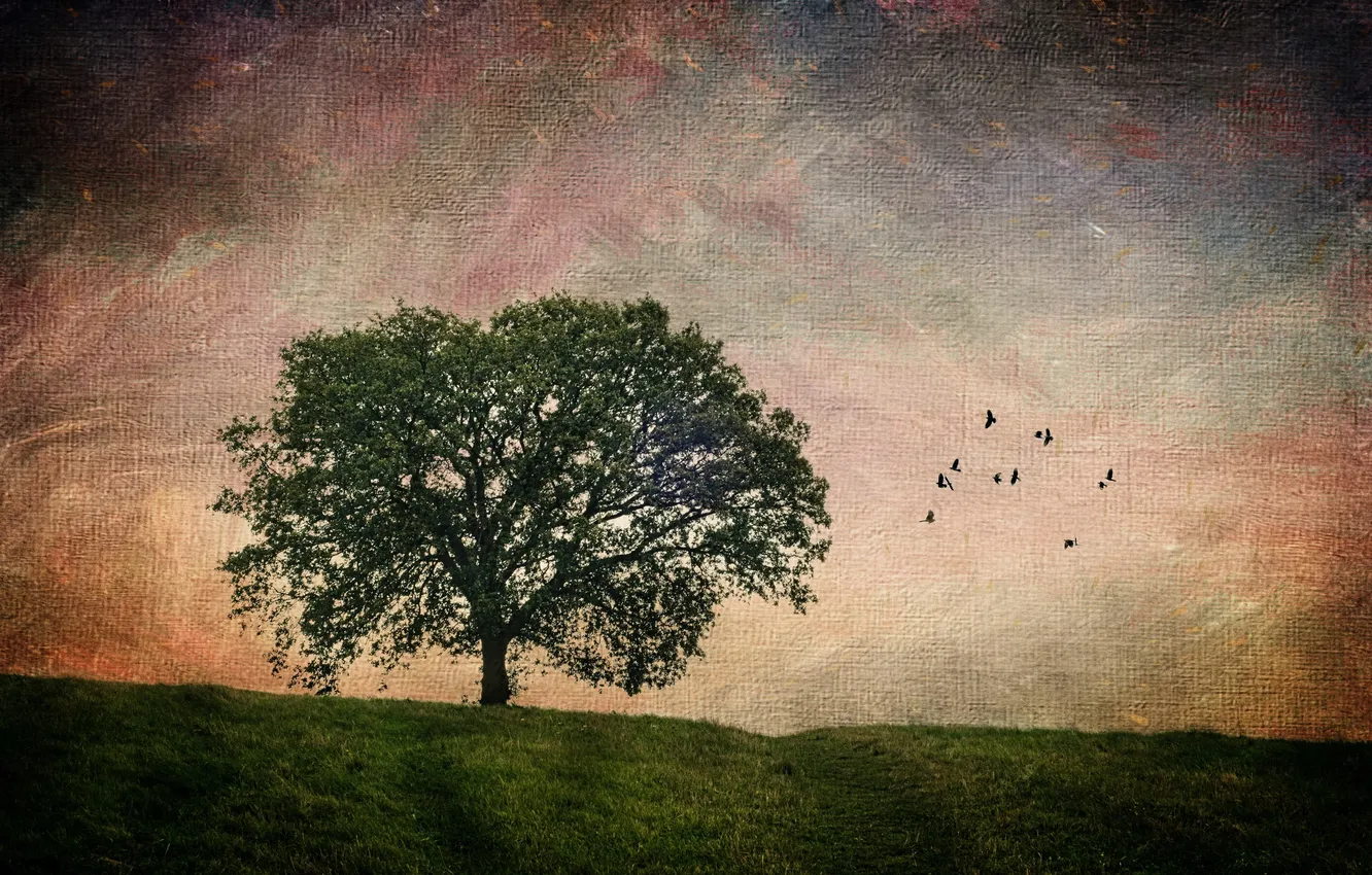 Photo wallpaper autumn, trees, nature