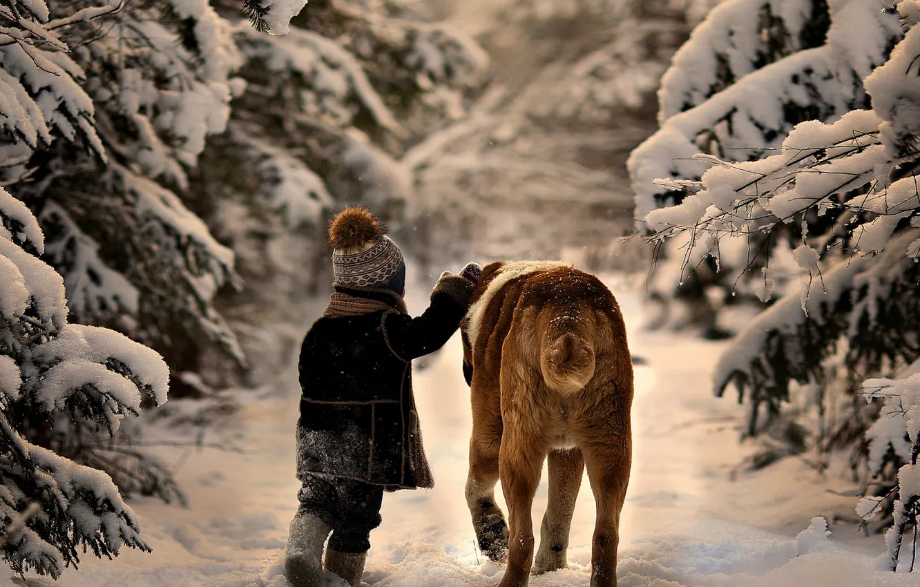 Photo wallpaper winter, snow, trees, nature, child, dog