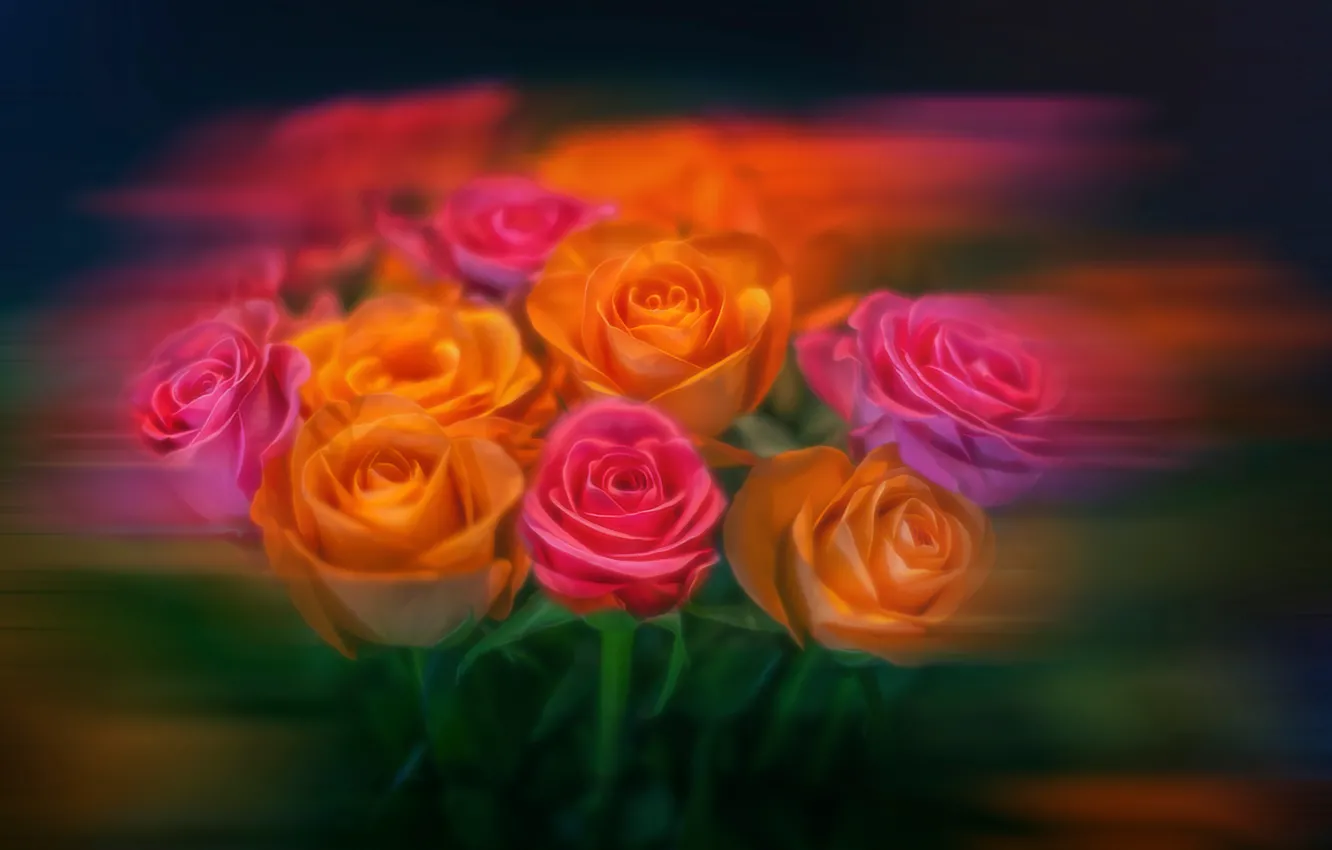 Photo wallpaper flowers, roses, treatment, bouquet, blur