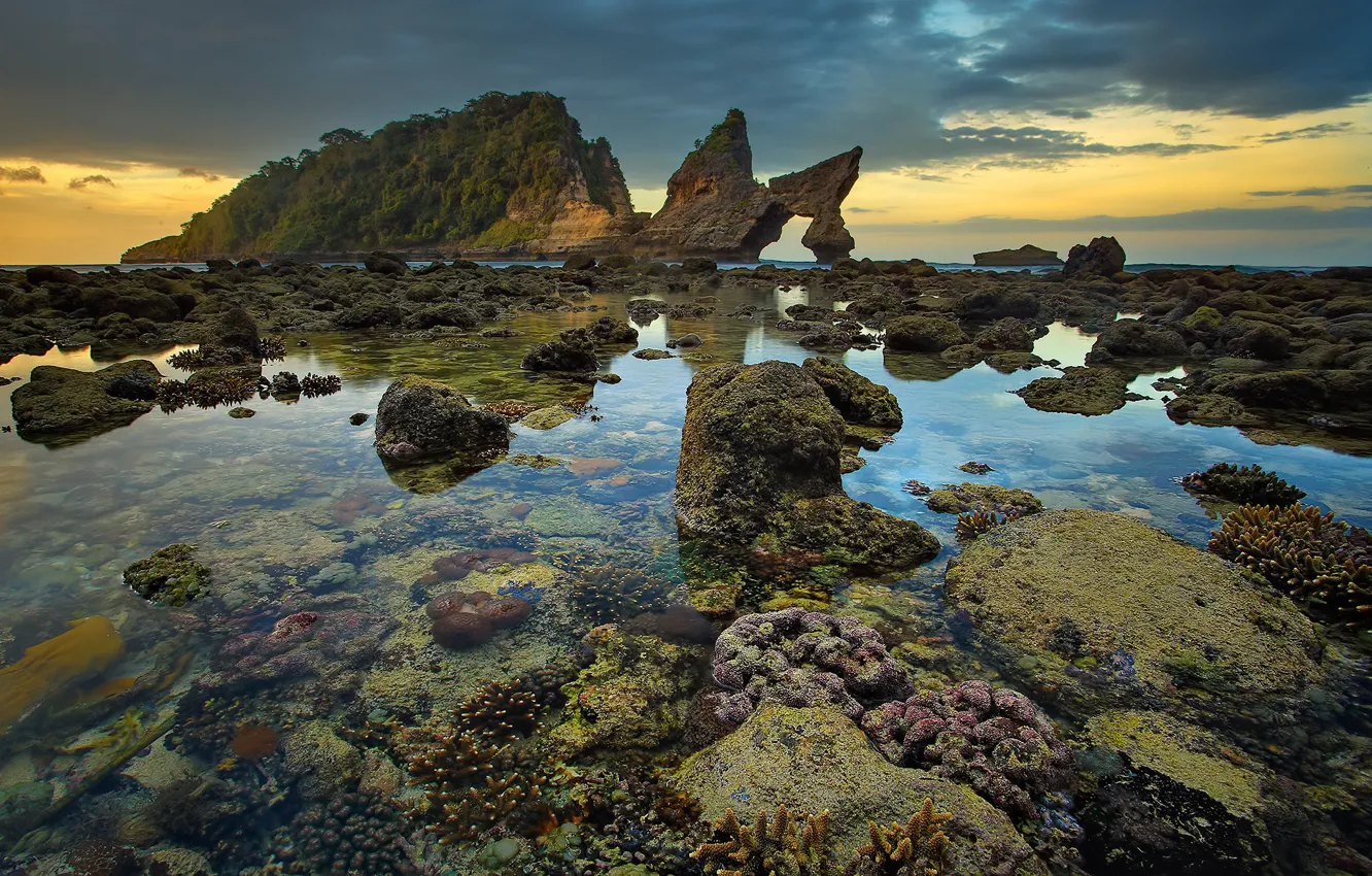 Photo wallpaper nature, rock, stones, Indonesia, the island of Nusa Penida