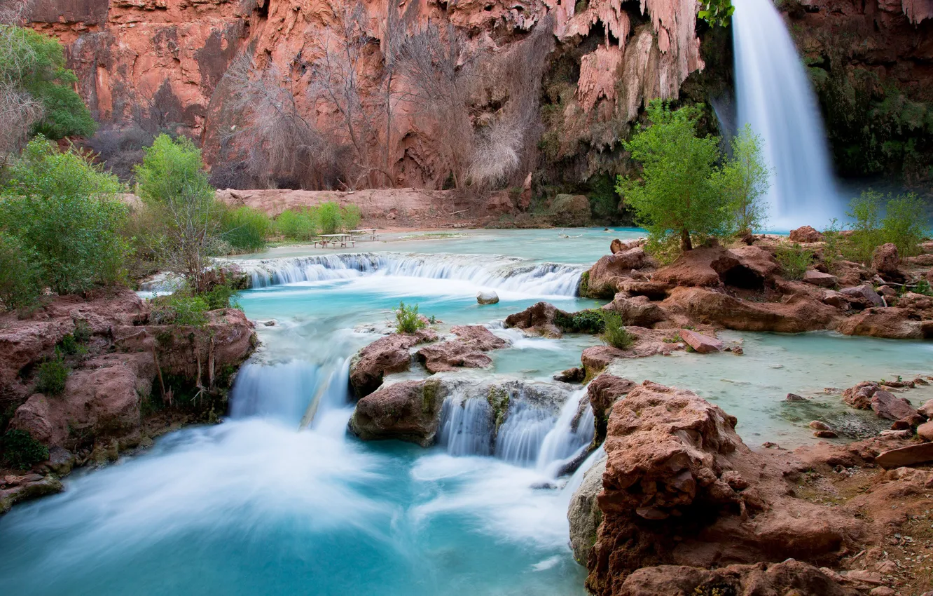 Photo wallpaper water, trees, landscape, nature, waterfall, Arizona, Havasu Falls