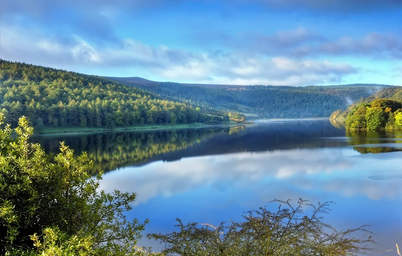 Photo wallpaper fog, river, morning
