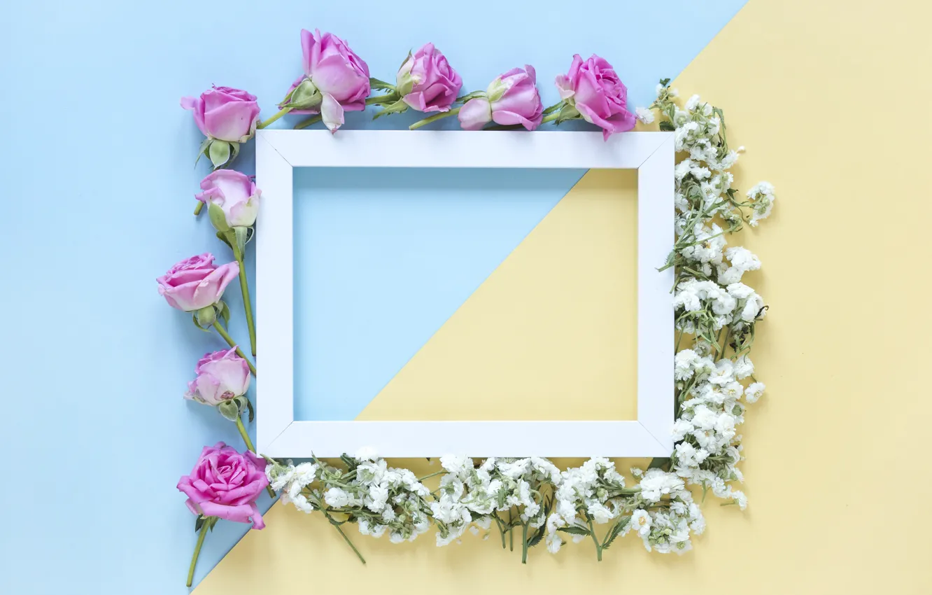 Photo wallpaper flowers, background, roses, frame, buds, pink, flowers, roses