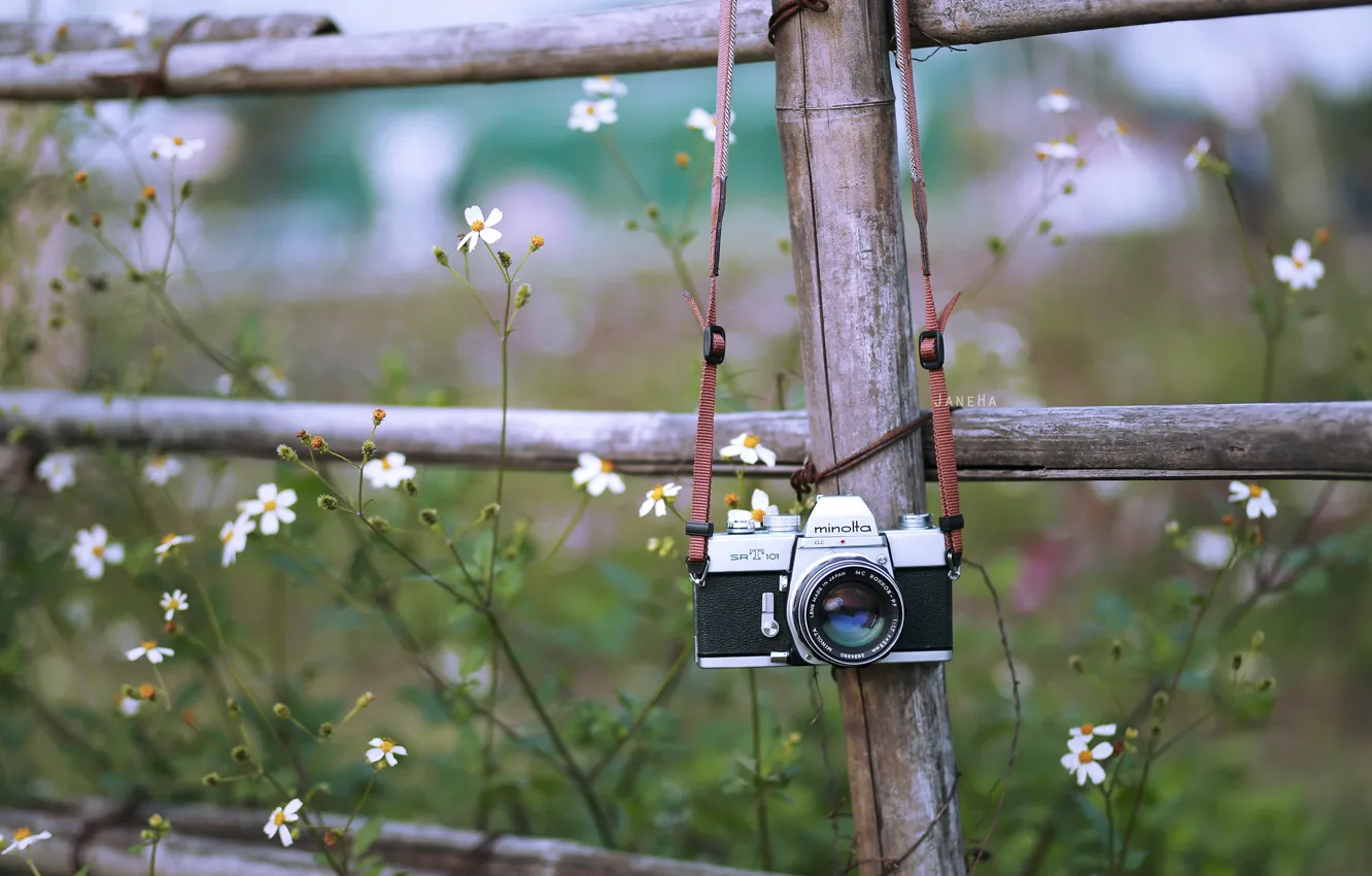 Photo wallpaper background, the fence, camera