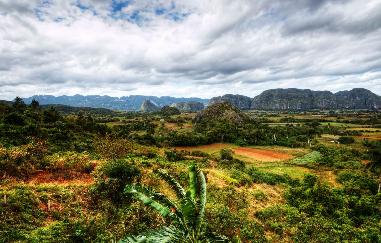 Photo wallpaper clouds, trees, mountains, field, HDR, Cuba