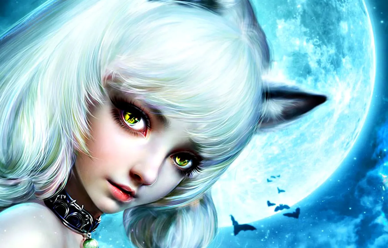 Photo wallpaper look, night, face, eyelashes, collar, bats, the full moon, ears