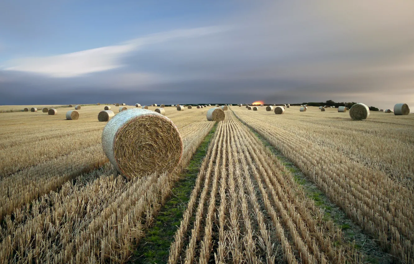 Photo wallpaper field, landscape, hay