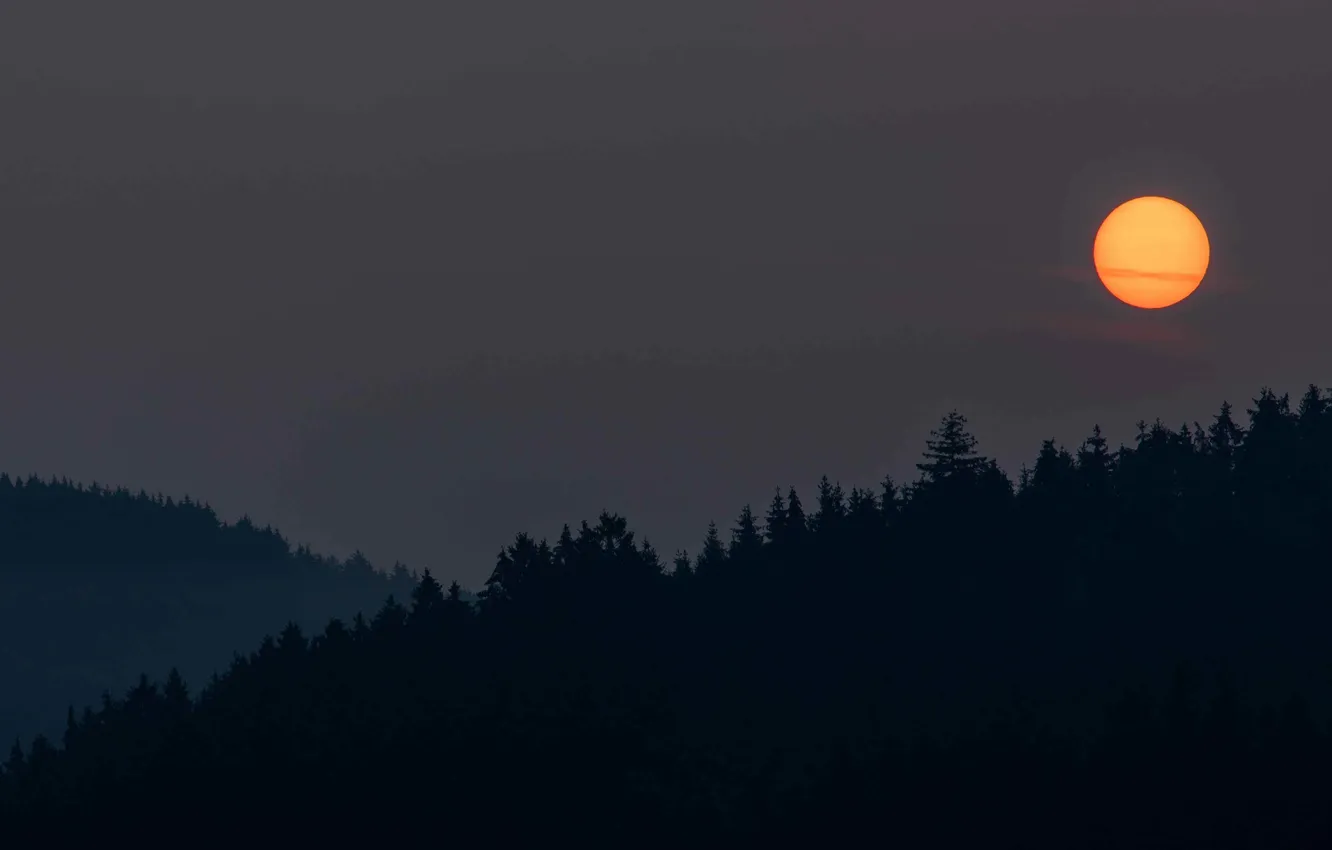 Photo wallpaper forest, the sky, trees, landscape, night, nature, the moon, horizon
