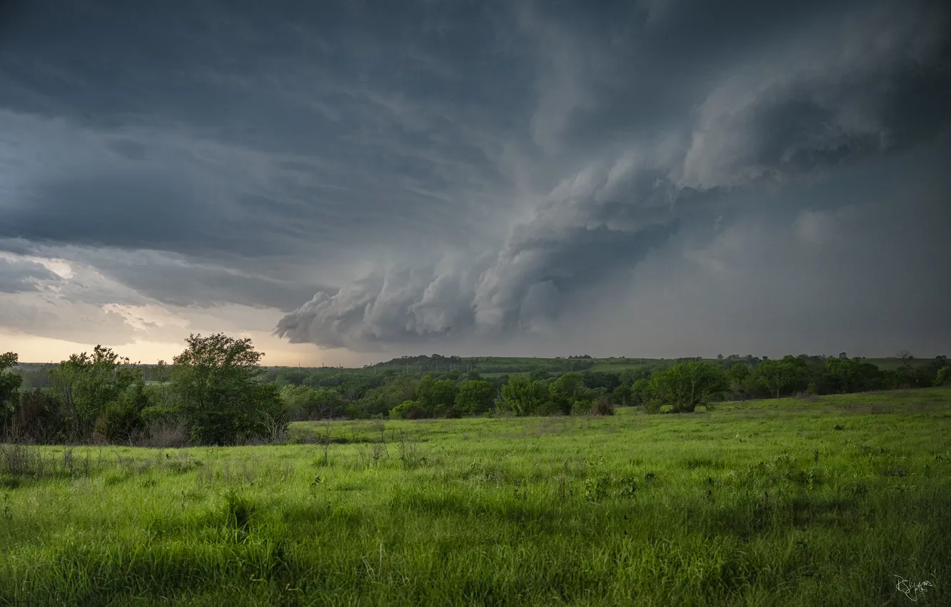Photo wallpaper field, forest, clouds, clouds, nature