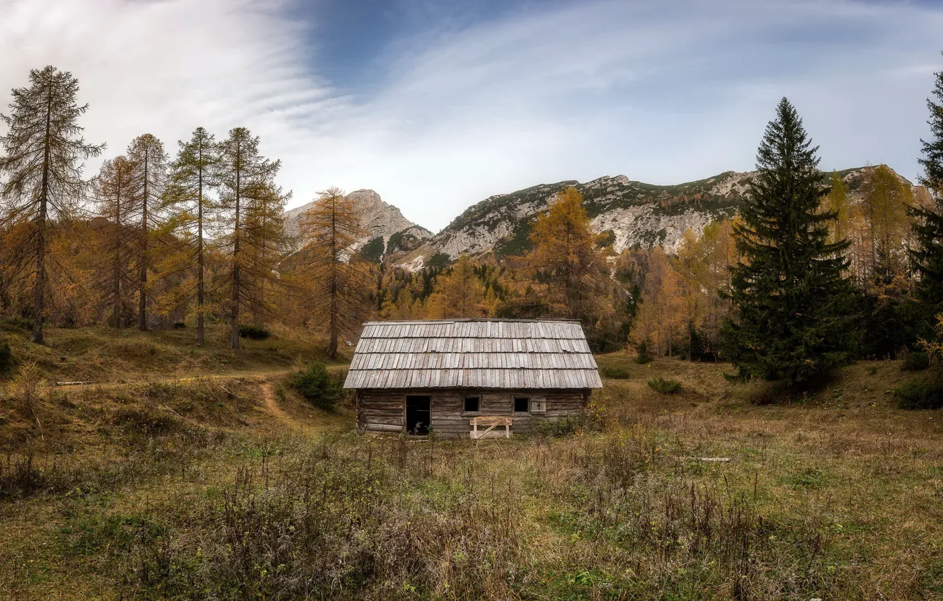 Photo wallpaper landscape, wood, ruins, Slovenia, Old Hut