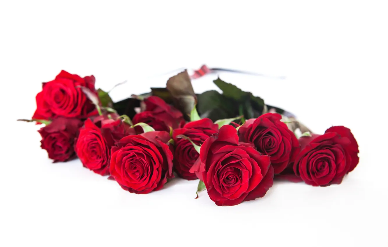 Photo wallpaper red, roses, bouquet, flowers