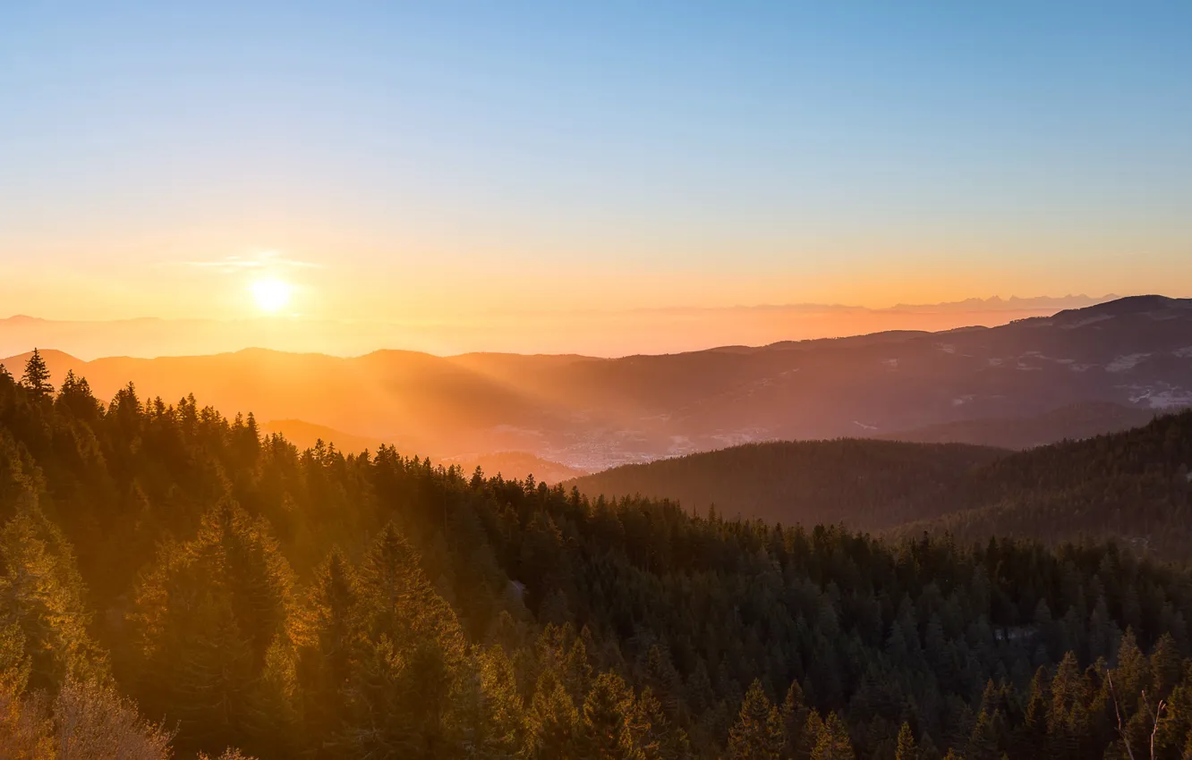 Photo wallpaper forest, light, mountains, morning