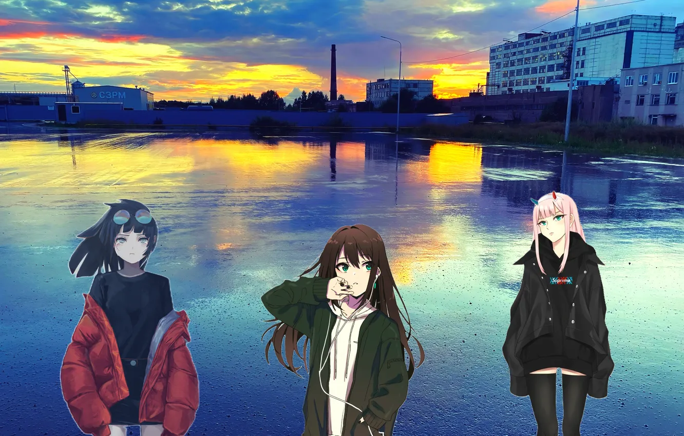 Photo wallpaper plant, sunset, Anime girl