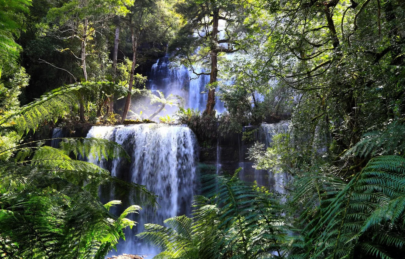 Photo wallpaper winter, forest, the sun, snow, icicles, ate
