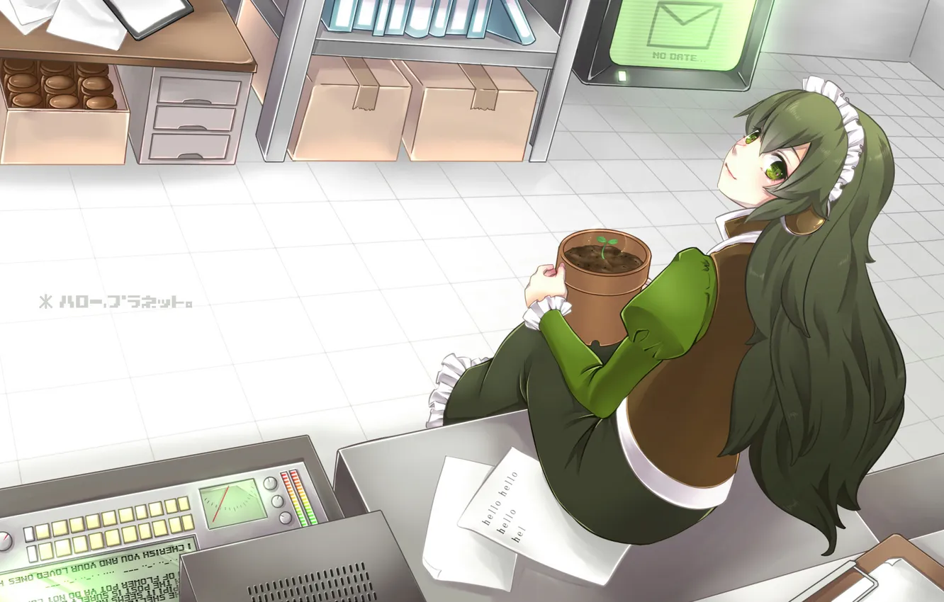 Photo wallpaper girl, plant, Rostock, art, composition, pot, sitting, nokko