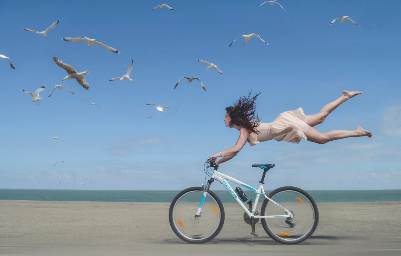 Photo wallpaper girl, bike, shore, seagulls, speed