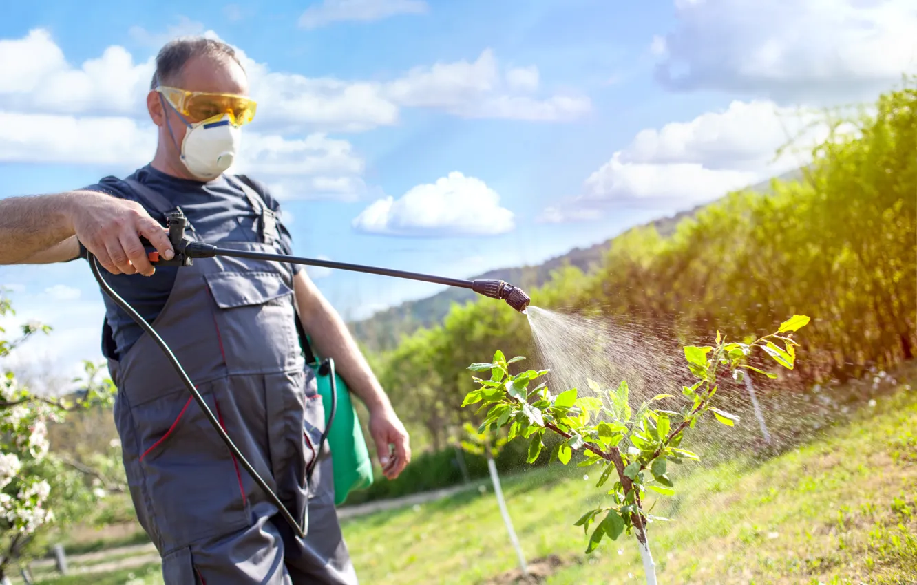 Photo wallpaper man, sprayer, insecticide