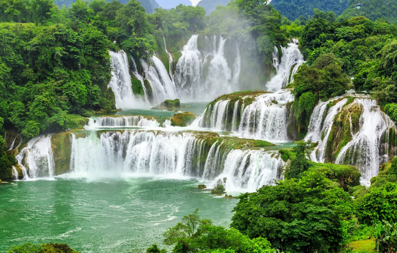 Photo wallpaper trees, nature, waterfall, China