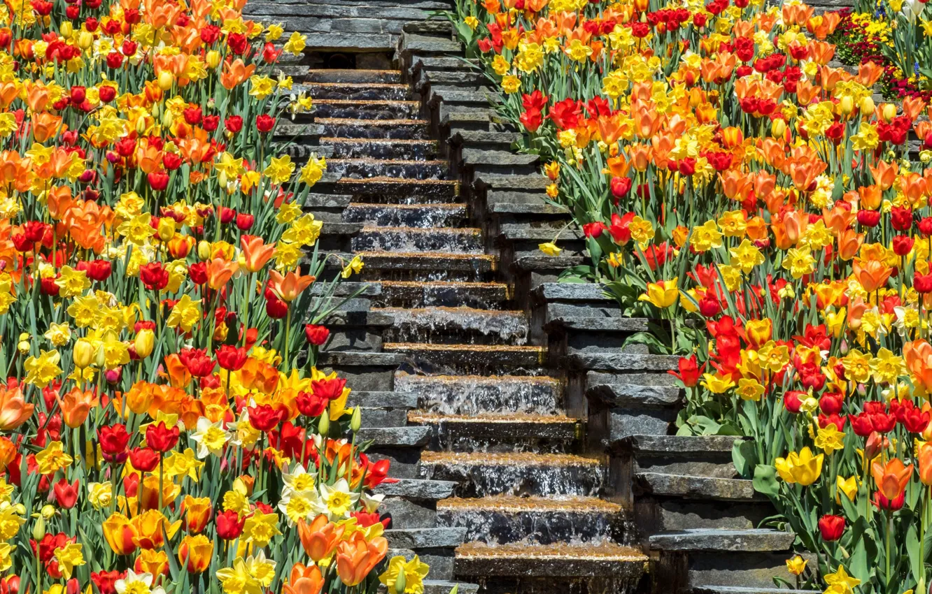 Photo wallpaper water, flowers, steps, flowerbed, waterfall