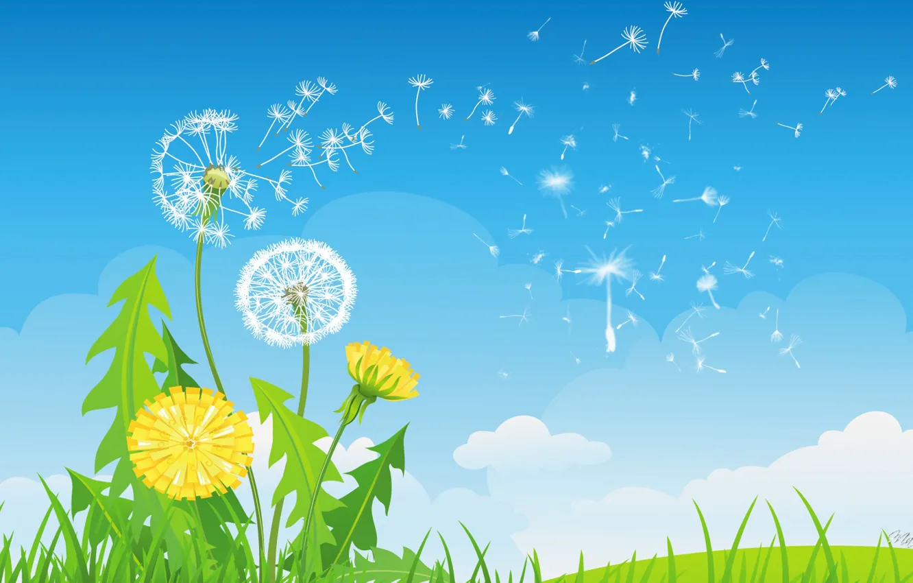Photo wallpaper the sky, grass, clouds, flowers, dandelion, collage, vector, blade of grass