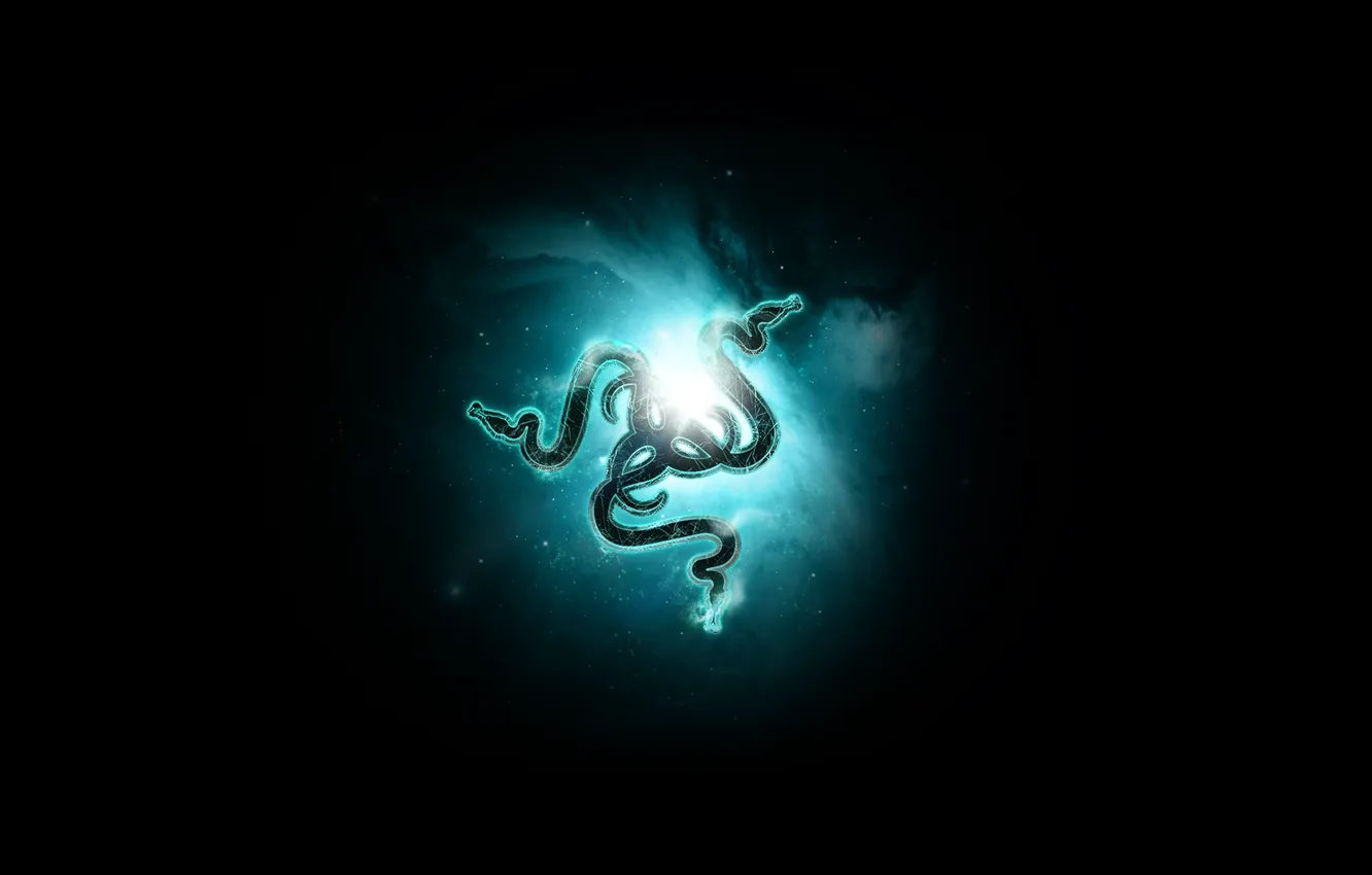 Photo wallpaper sign, the game, Razer