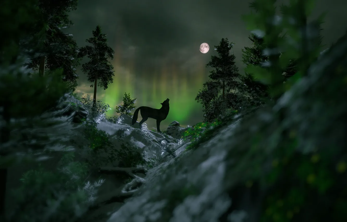 Photo wallpaper forest, night, stones, rendering, the moon, wolf, Northern lights, ate