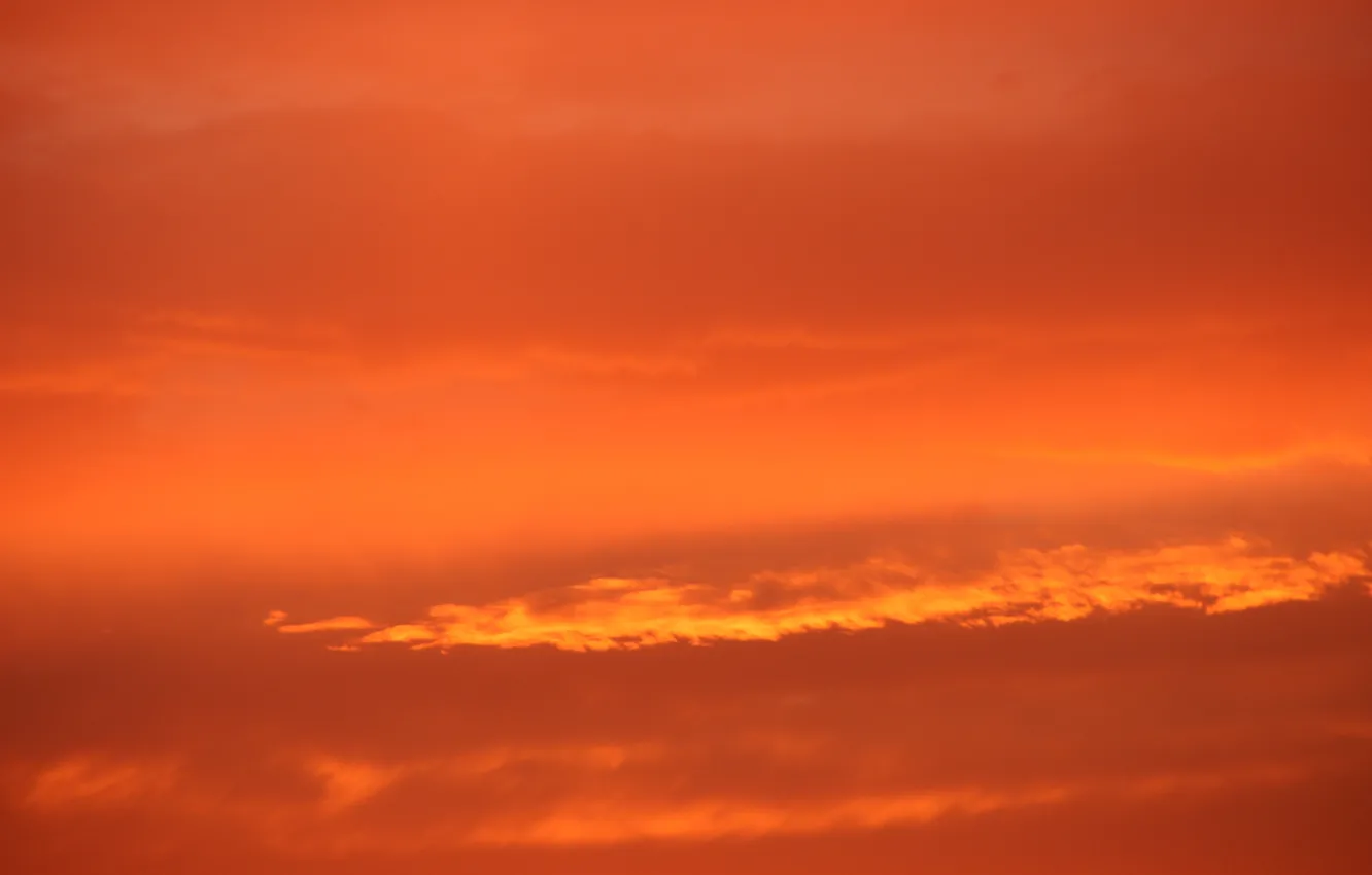 Photo wallpaper summer, the sky, the sun, clouds, sunset, orange sky, Golden sky