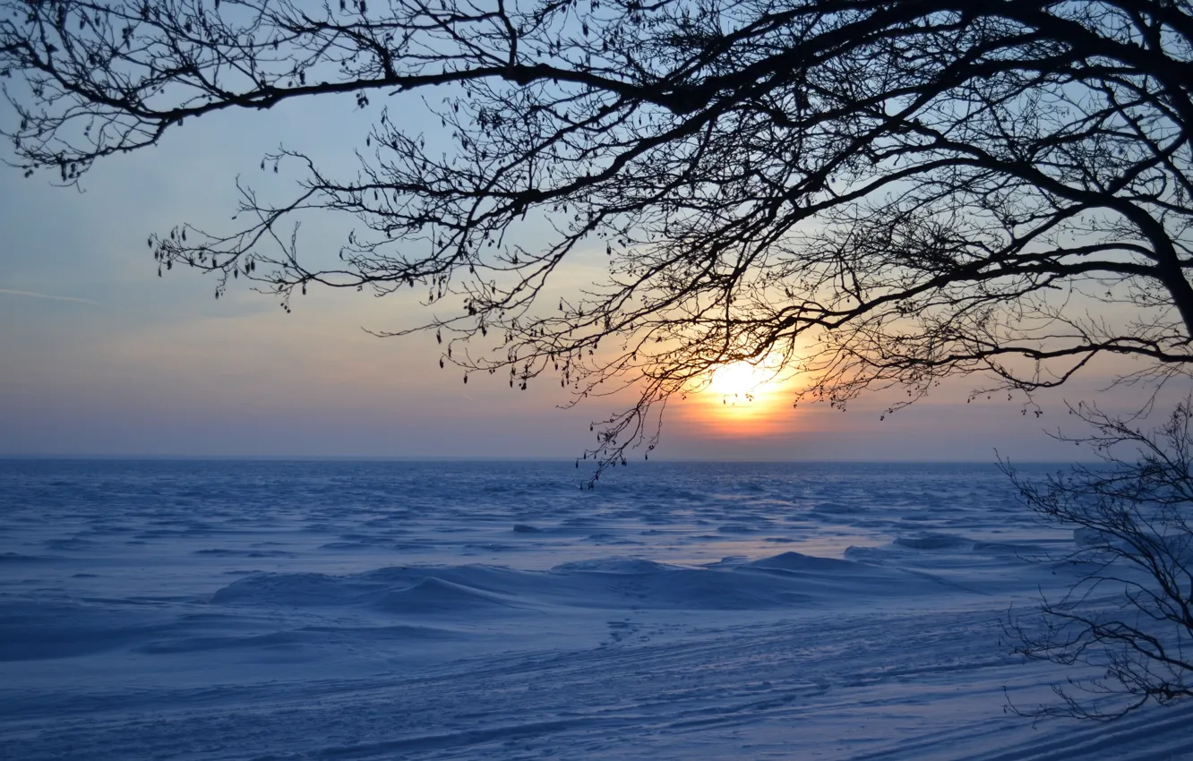 Photo wallpaper snow, sunset, Winter, ice, the evening, Bay, the snow