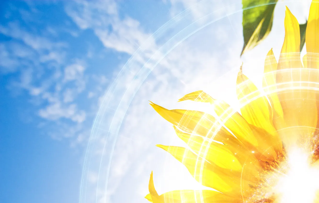 Photo wallpaper the sky, the sun, rays, sunflowers, flowers