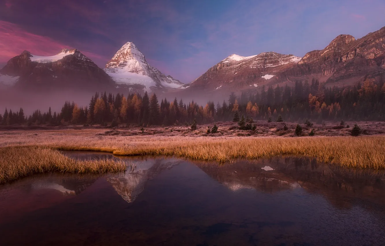 Photo wallpaper forest, mountains, lake