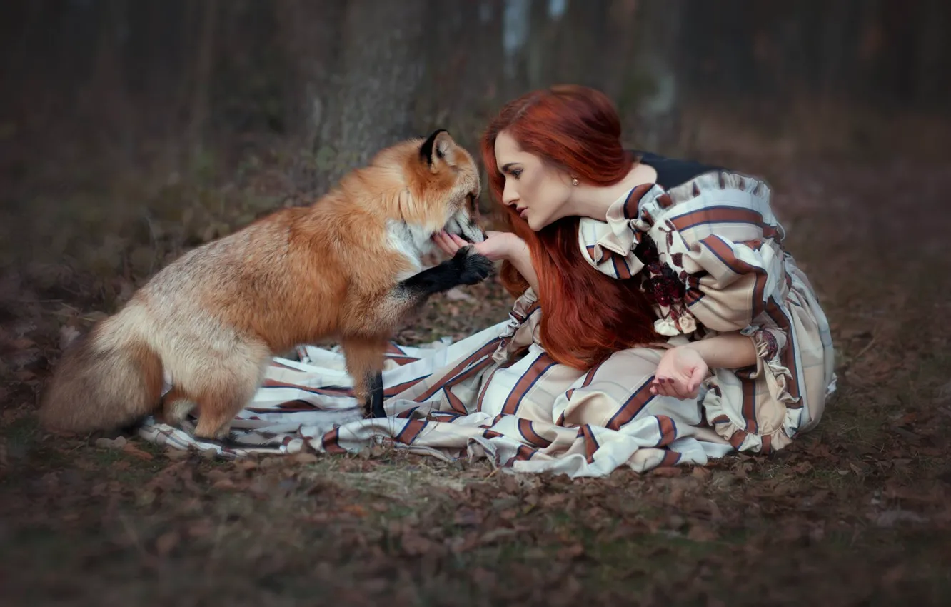 Photo wallpaper forest, girl, dress, Fox, red, redhead