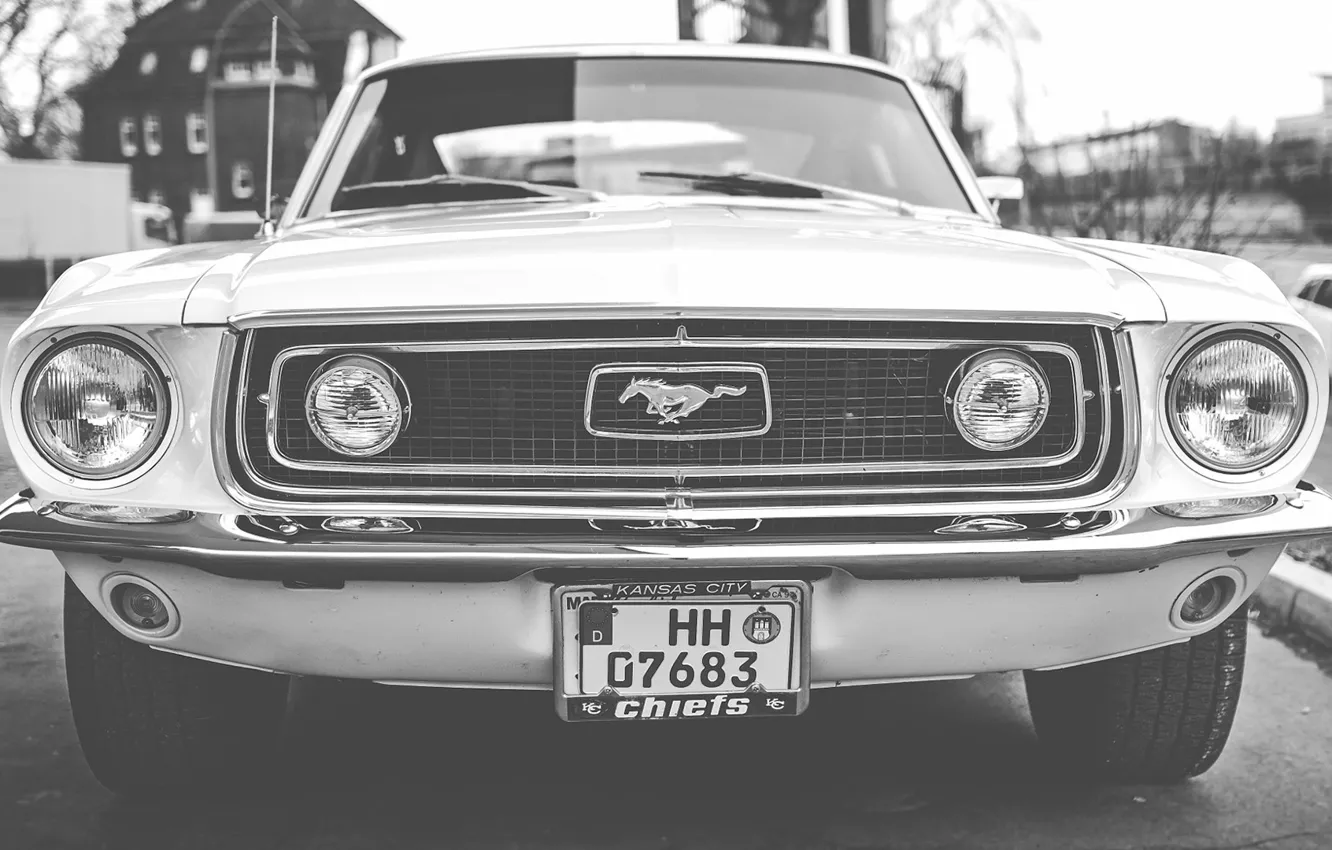 Wallpaper Wallpaper, black and white, Ford Mustang images for desktop ...