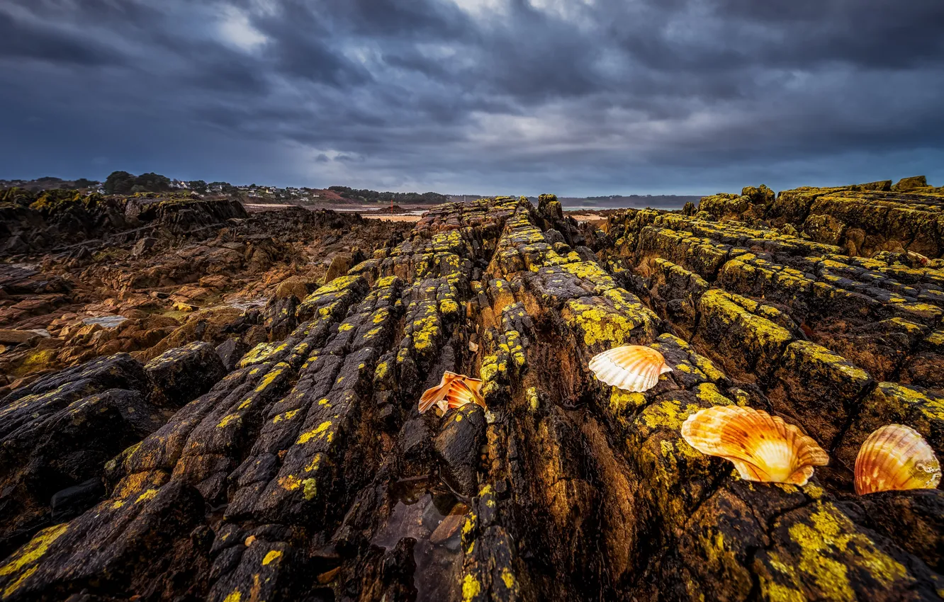 Photo wallpaper sea, the sky, clouds, shore, shell, rocky, lichens, stone ridge