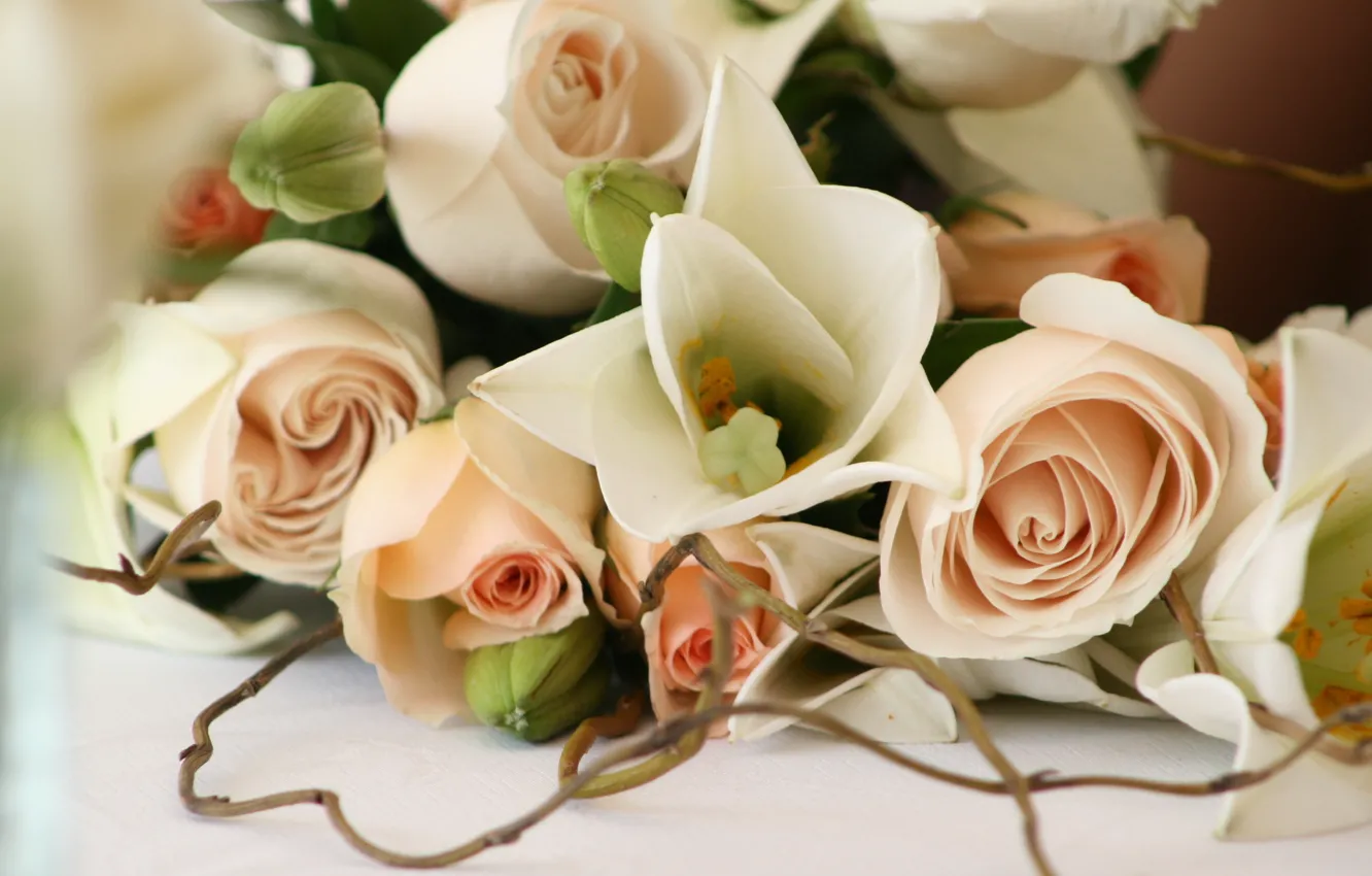 Photo wallpaper flowers, romance, roses, beautiful, wedding