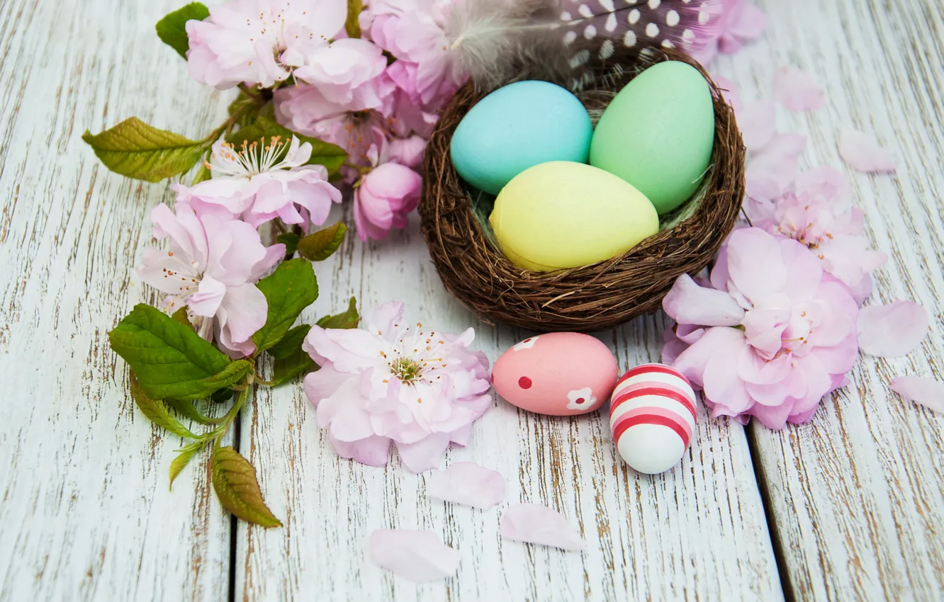 Photo wallpaper flowers, eggs, spring, colorful, Easter, wood, pink, blossom