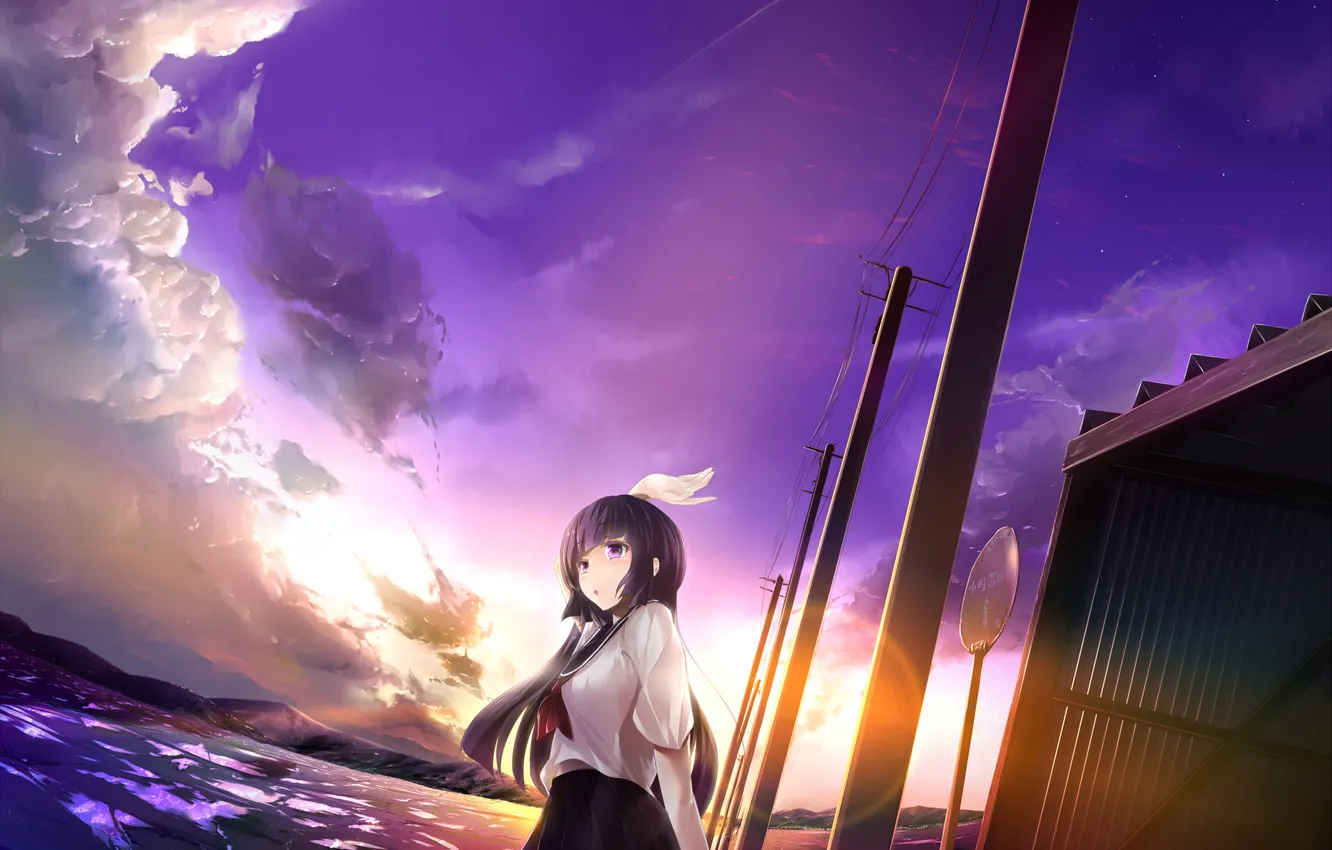 Photo wallpaper the sky, girl, clouds, sunset, sign, anime, art, form