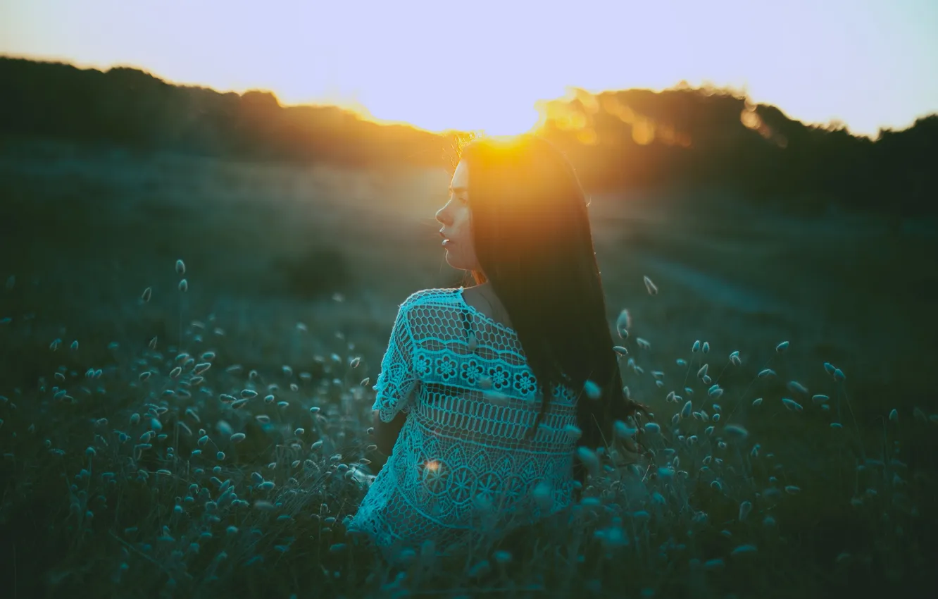 Photo wallpaper grass, girl, sunset, profile