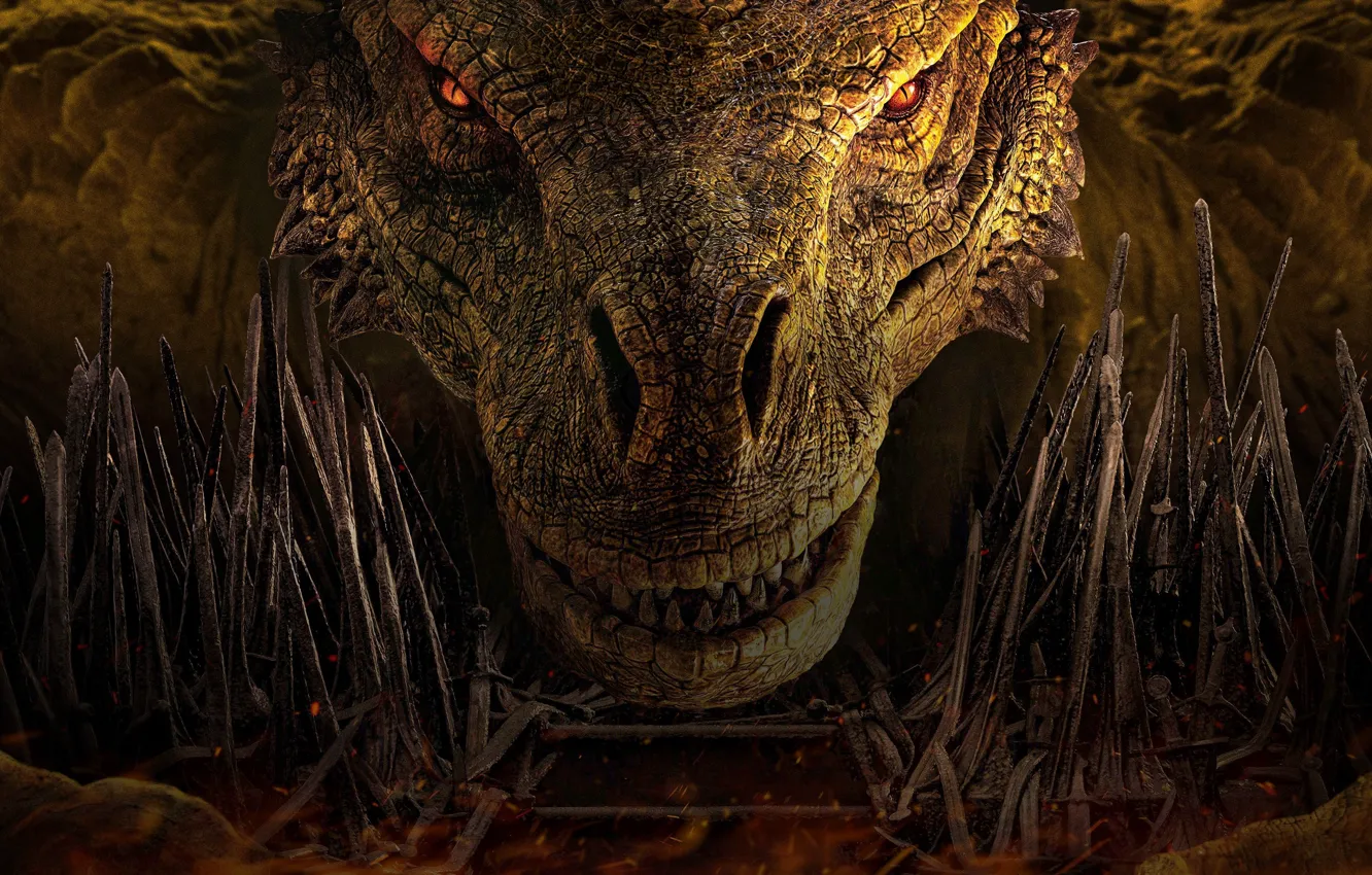 Photo wallpaper fantasy, dragon, muzzle, catch