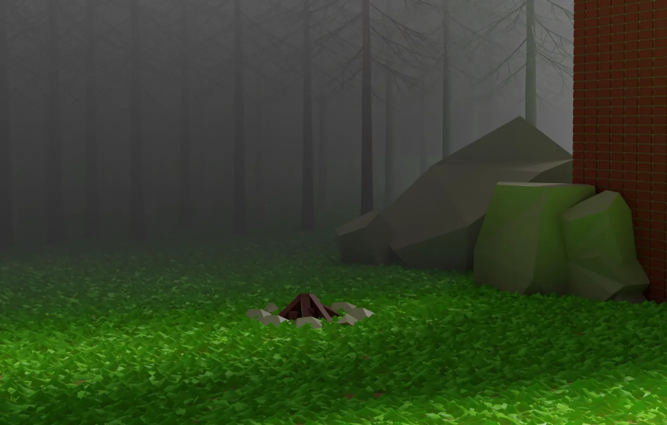 Photo wallpaper forest, dark, forest