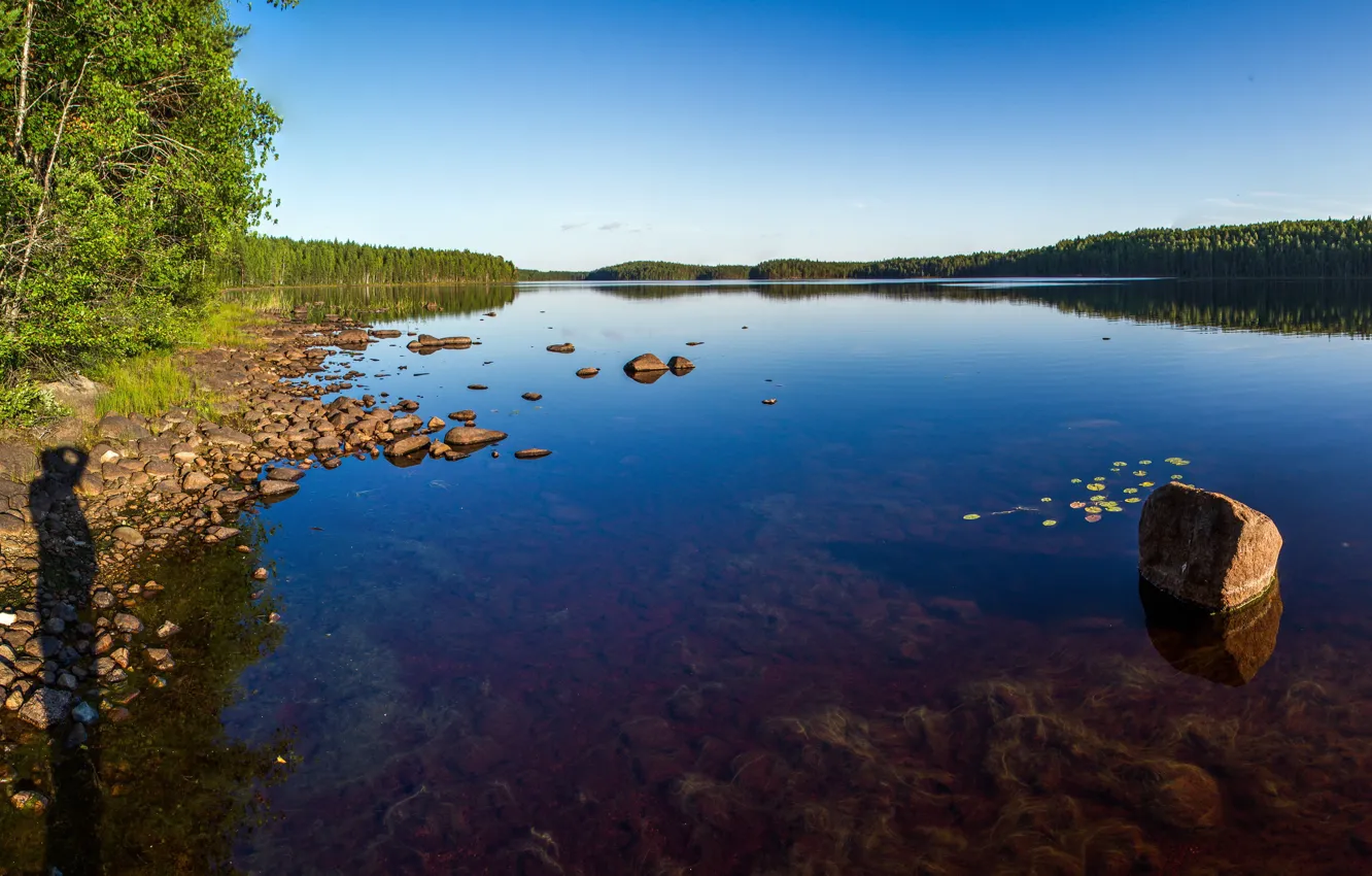 Photo wallpaper water, the sun, trees, lake, glare, shadow, silhouette, dibr