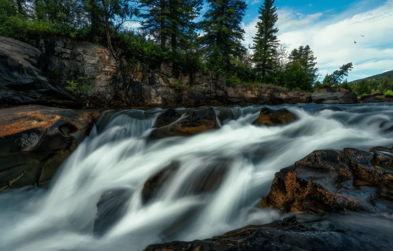 Photo wallpaper trees, landscape, nature, river, stones, open, rocks, stream