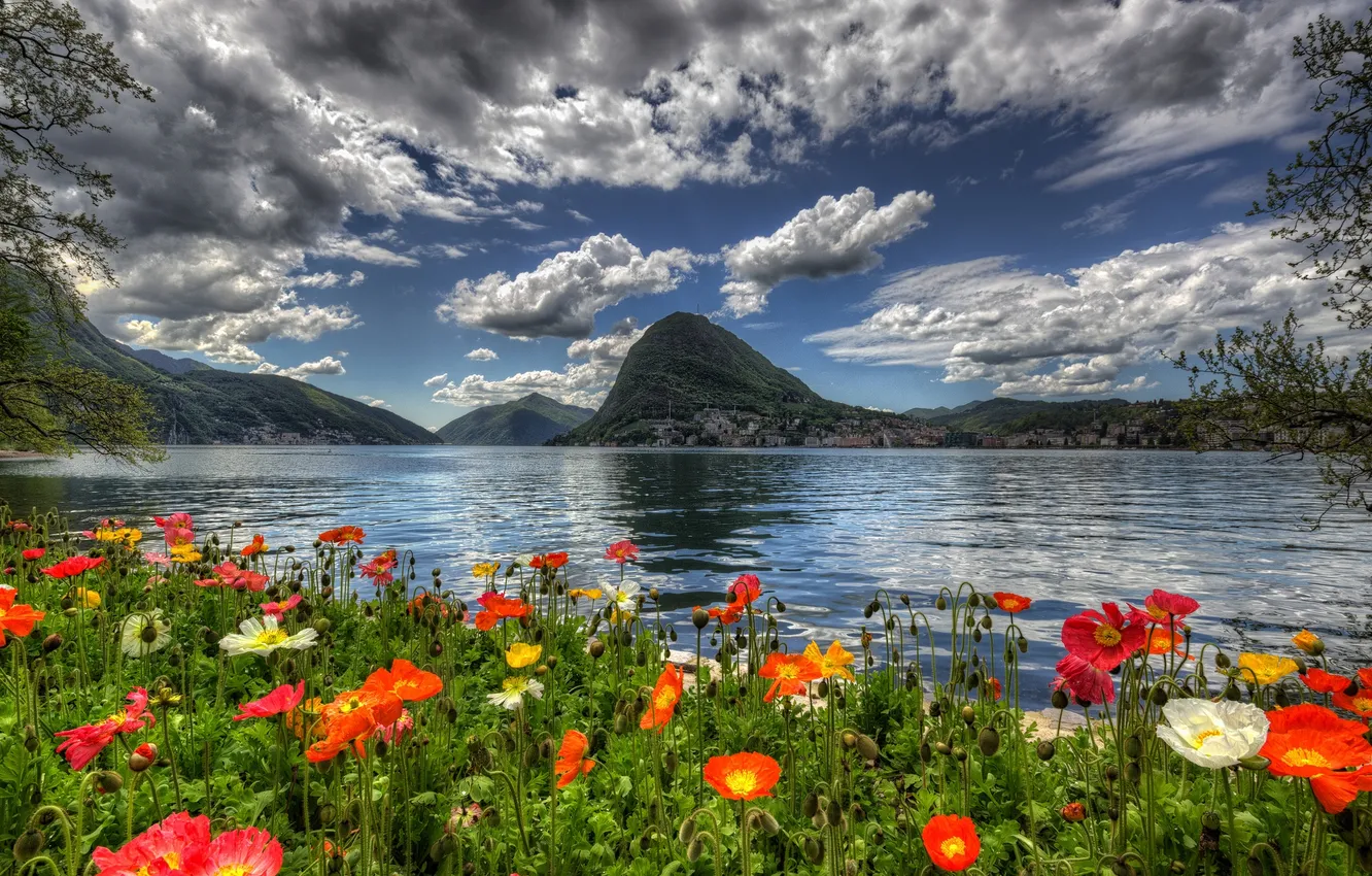 Photo wallpaper the sky, clouds, trees, landscape, flowers, mountains, nature, lake